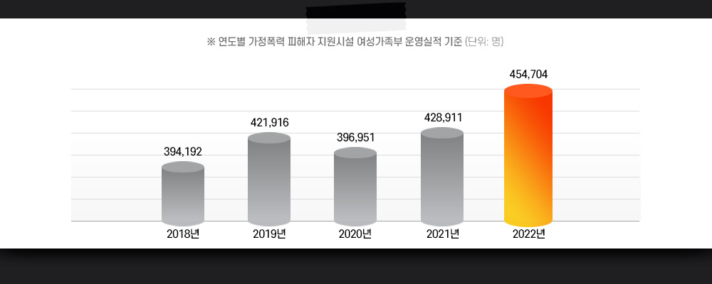연도별 가정폭력 피해자 지원시설 여성가족부 운영실적 기준