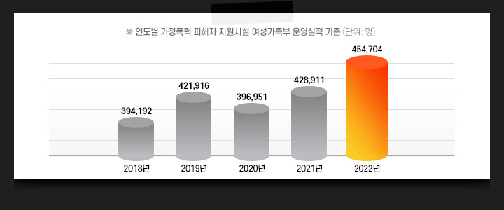 연도별 가정폭력 피해자 지원시설 여성가족부 운영실적 기준