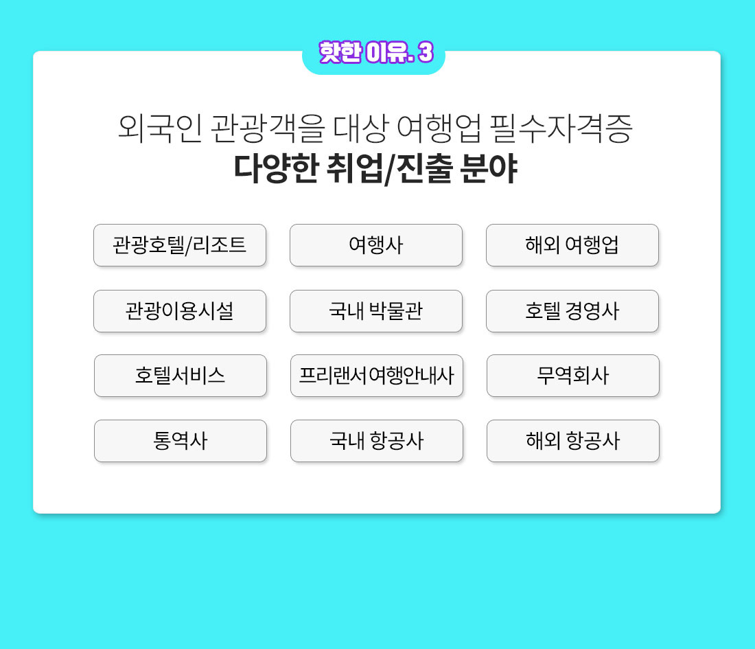 3. 외국인 관광객을 대상 여행업 필수자격증, 다양한 취업/진출 분야